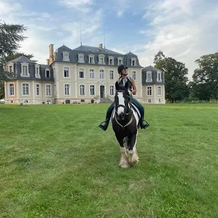 De La Comtesse Chateau De La Bouchatte Guest house *